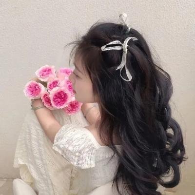 红色康乃馨